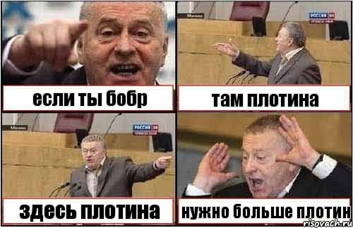 если ты бобр там плотина здесь плотина нужно больше плотин, Комикс жиреновский