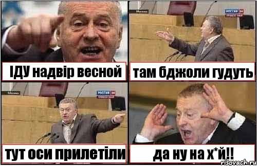 ІДУ надвір весной там бджоли гудуть тут оси прилетіли да ну на х*й!!, Комикс жиреновский