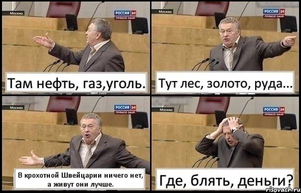 Там нефть, газ,уголь. Тут лес, золото, руда... В крохотной Швейцарии ничего нет, а живут они лучше. Где, блять, деньги?, Комикс Жирик в шоке хватается за голову