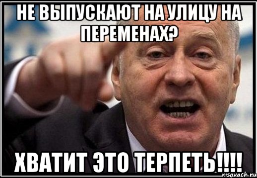 не выпускают на улицу на переменах? хватит это терпеть!!!, Мем жириновский ты