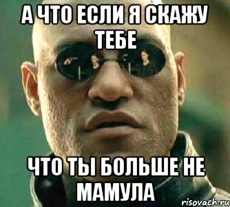 а что если я скажу тебе что ты больше не мамула, Мем  а что если я скажу тебе