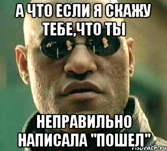 а что если я скажу тебе,что ты неправильно написала "пошел", Мем  а что если я скажу тебе