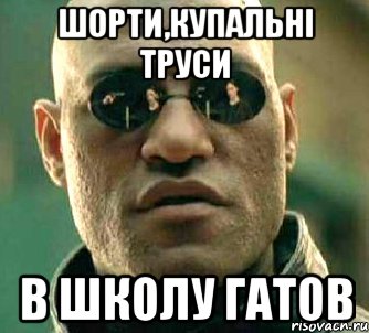 шорти,купальні труси в школу гатов, Мем  а что если я скажу тебе