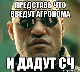 представь что введут агронома и дадут сч, Мем  а что если я скажу тебе