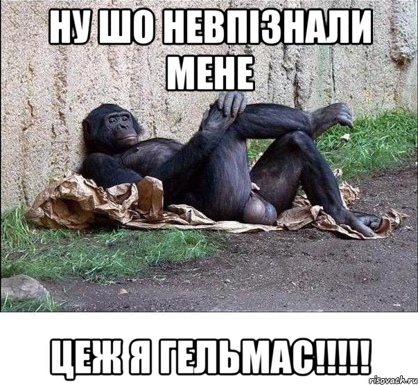 ну шо невпізнали мене цеж я гельмас!!!, Мем а танцую я не очень