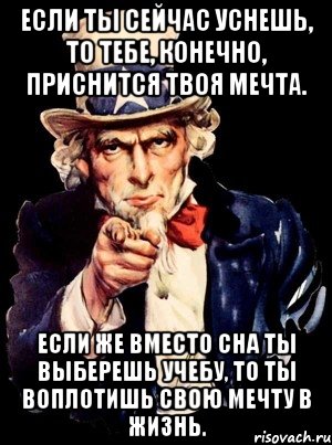 если ты сейчас уснешь, то тебе, конечно, приснится твоя мечта. если же вместо сна ты выберешь учебу, то ты воплотишь свою мечту в жизнь., Мем а ты