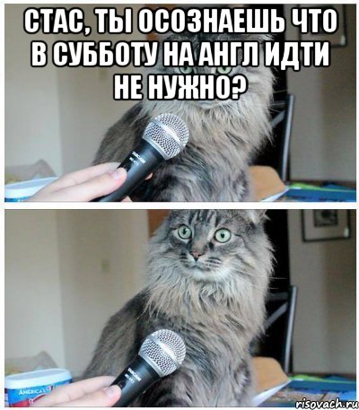 стас, ты осознаешь что в субботу на англ идти не нужно? , Комикс  кот с микрофоном