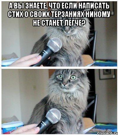 а вы знаете, что если написать стих о своих терзаниях никому не станет легче? , Комикс  кот с микрофоном