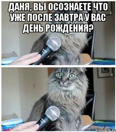 даня, вы осознаете что уже после завтра у вас день рождения? , Комикс  кот с микрофоном