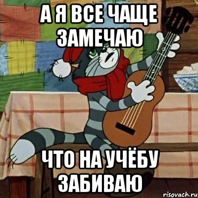 а я все чаще замечаю что на учёбу забиваю, Мем Кот Матроскин с гитарой