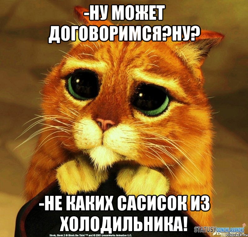 -ну может договоримся?ну? -не каких сасисок из холодильника!, Мем Котик из Шрека