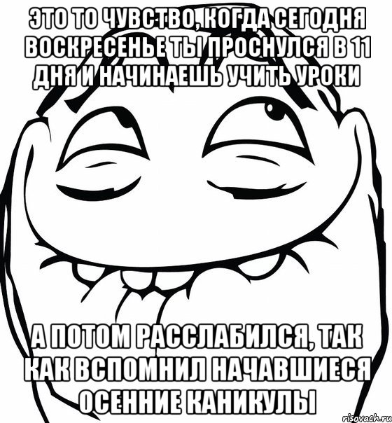 это то чувство, когда сегодня воскресенье ты проснулся в 11 дня и начинаешь учить уроки а потом расслабился, так как вспомнил начавшиеся осенние каникулы, Мем  аааа