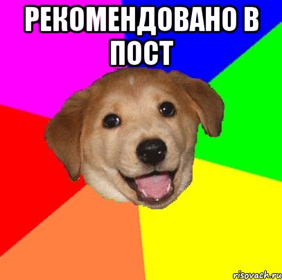 рекомендовано в пост , Мем Advice Dog