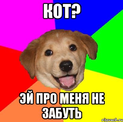 кот? эй про меня не забуть, Мем Advice Dog