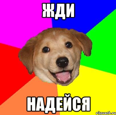 жди надейся, Мем Advice Dog