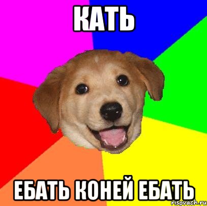 кать ебать коней ебать, Мем Advice Dog