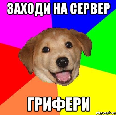 заходи на сервер грифери, Мем Advice Dog