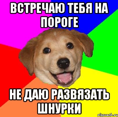 встречаю тебя на пороге не даю развязать шнурки, Мем Advice Dog