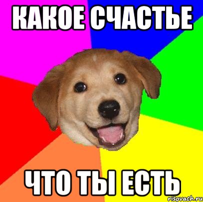 какое счастье что ты есть, Мем Advice Dog