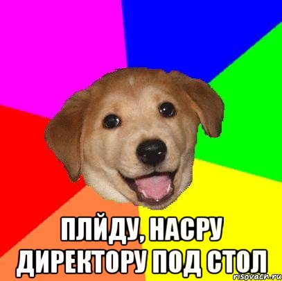  плйду, насру директору под стол, Мем Advice Dog