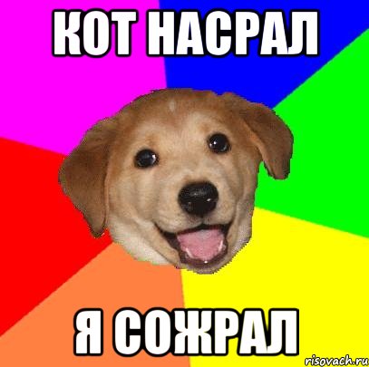 кот насрал я сожрал, Мем Advice Dog