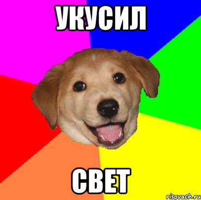 укусил свет, Мем Advice Dog