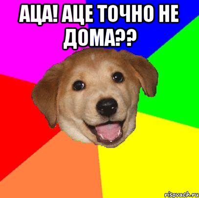 аца! аце точно не дома?? , Мем Advice Dog