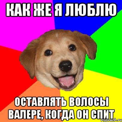 как же я люблю оставлять волосы валере, когда он спит, Мем Advice Dog