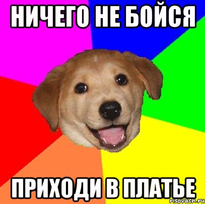 ничего не бойся приходи в платье, Мем Advice Dog