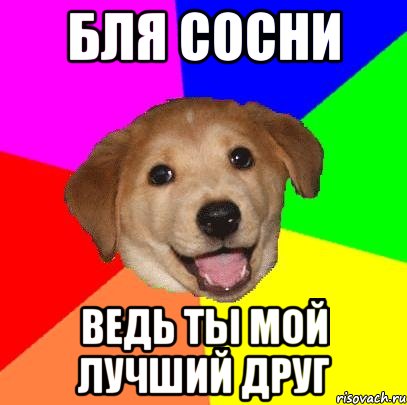 бля сосни ведь ты мой лучший друг, Мем Advice Dog