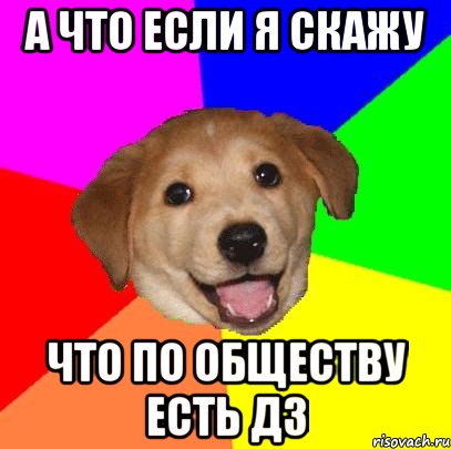 а что если я скажу что по обществу есть дз, Мем Advice Dog