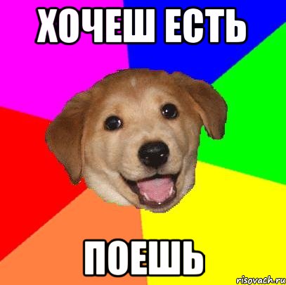 хочеш есть поешь, Мем Advice Dog