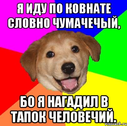 я иду по ковнате словно чумачечый, бо я нагадил в тапок человечий., Мем Advice Dog