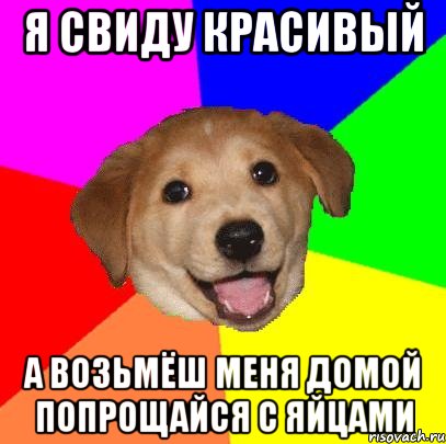 я свиду красивый а возьмёш меня домой попрощайся с яйцами, Мем Advice Dog