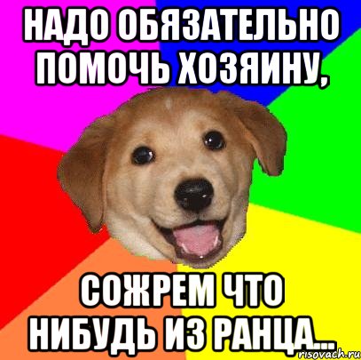 надо обязательно помочь хозяину, сожрем что нибудь из ранца..., Мем Advice Dog