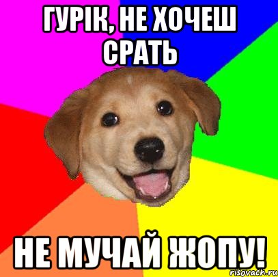 гурік, не хочеш срать не мучай жопу!, Мем Advice Dog