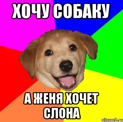 хочу собаку а женя хочет слона, Мем Advice Dog