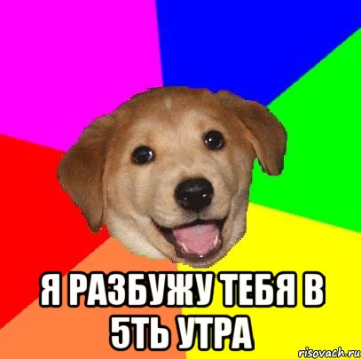  я разбужу тебя в 5ть утра, Мем Advice Dog