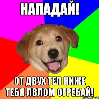 нападай! от двух тел ниже тебя лвлом огребай!, Мем Advice Dog