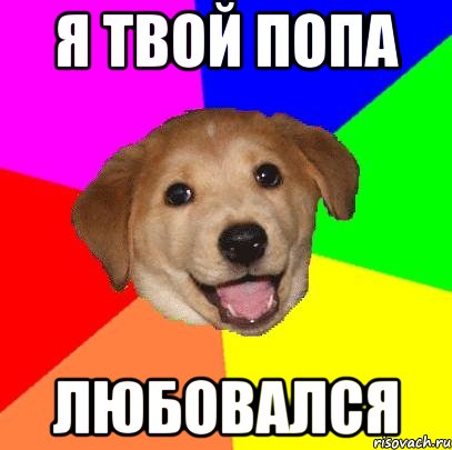 я твой попа любовался, Мем Advice Dog