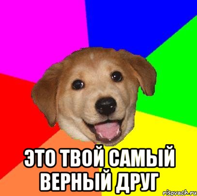  это твой самый верный друг, Мем Advice Dog