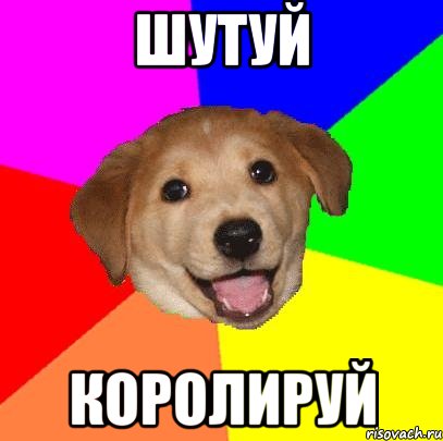 шутуй королируй, Мем Advice Dog