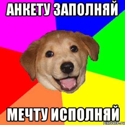 анкету заполняй мечту исполняй, Мем Advice Dog