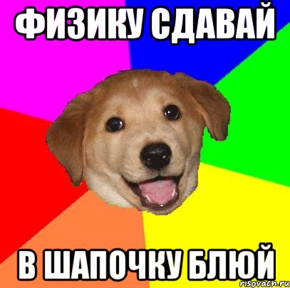 физику сдавай в шапочку блюй, Мем Advice Dog