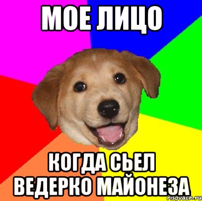 мое лицо когда сьел ведерко майонеза, Мем Advice Dog