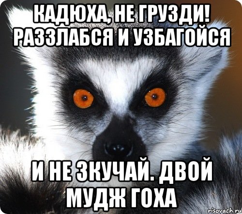 кадюха, не грузди! раззлабся и узбагойся и не зкучай. двой мудж гоха