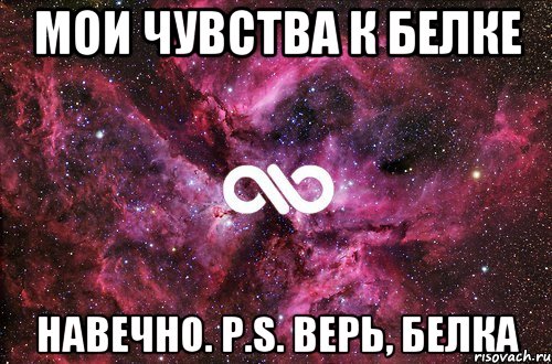 мои чувства к белке навечно. p.s. верь, белка, Мем офигенно