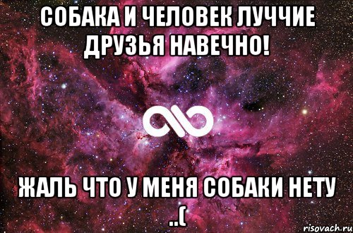 собака и человек луччие друзья навечно! жаль что у меня собаки нету ..(, Мем офигенно