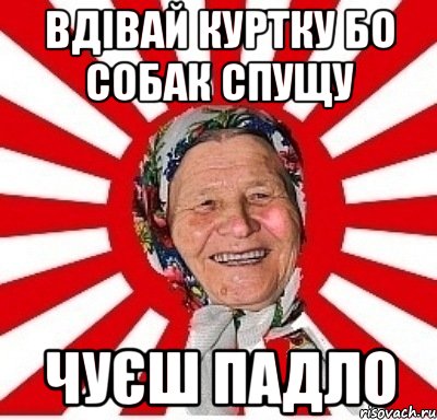 вдівай куртку бо собак спущу чуєш падло, Мем  бабуля