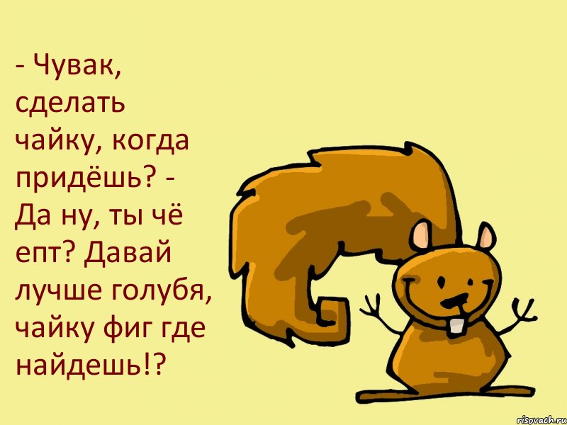 - Чувак, сделать чайку, когда придёшь? - Да ну, ты чё епт? Давай лучше голубя, чайку фиг где найдешь!?, Комикс  белка